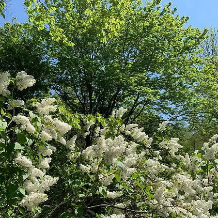 En Pleine Nature - Le 