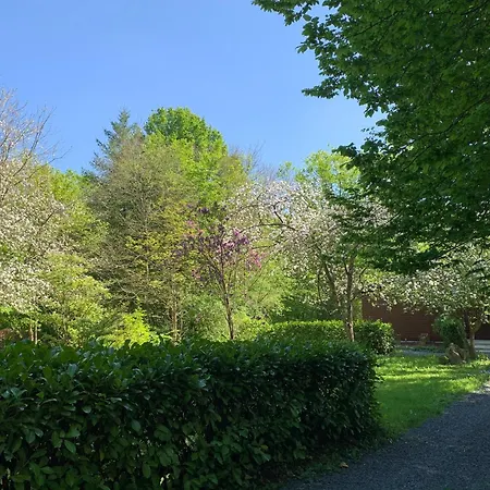 Clos Des Chevreuils - Le Barbencon