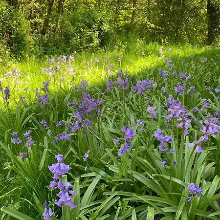 Chalet En Pleine Nature - Le 