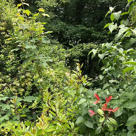 En Pleine Nature - Le 