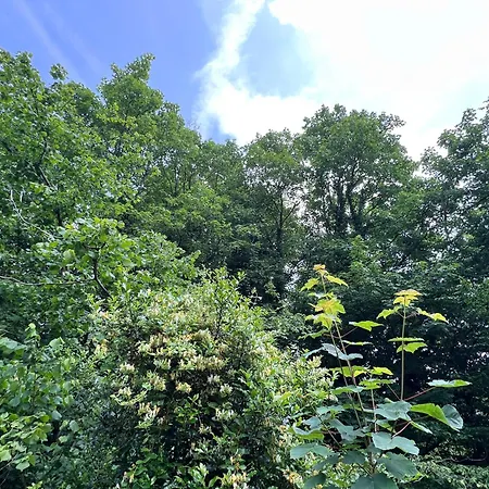 Domek alpejski En Pleine Nature - Le 